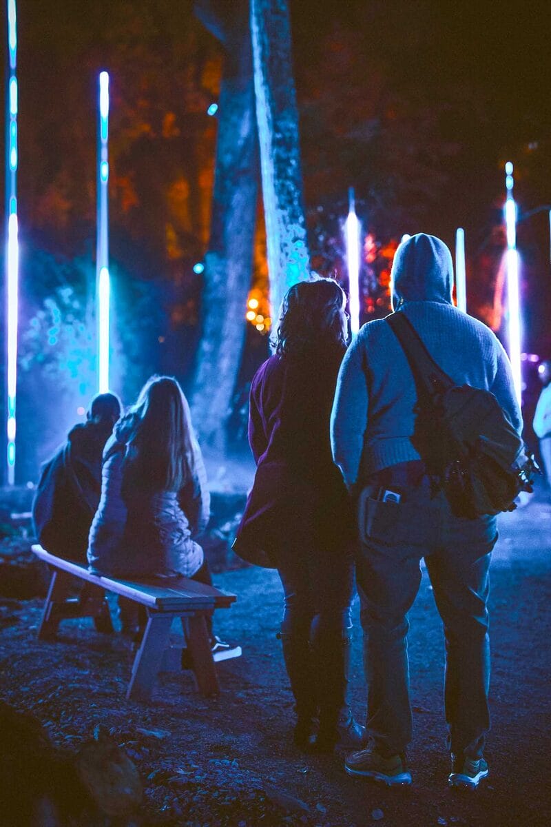 Astra Lumina Credit- Moment Factory - img (15)