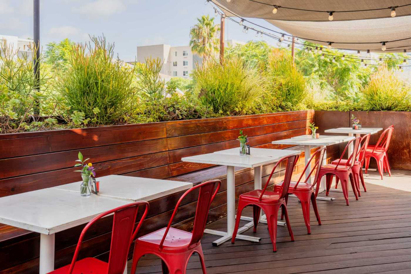 PaliWineCo_Rooftop_KimberlyMotos