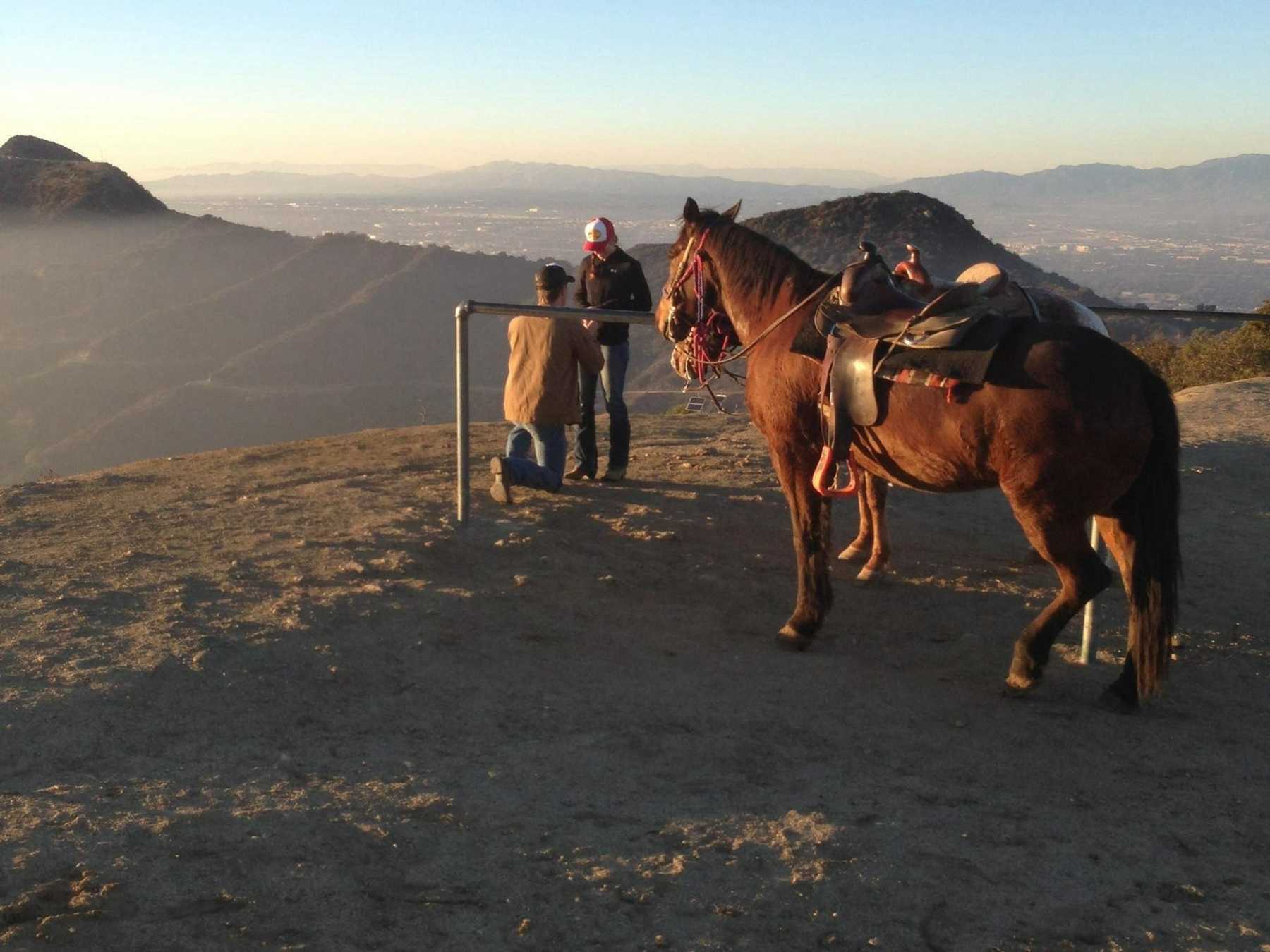 Sunset Ranch proposals2_Att_Sunset_Ranch_Hollywood