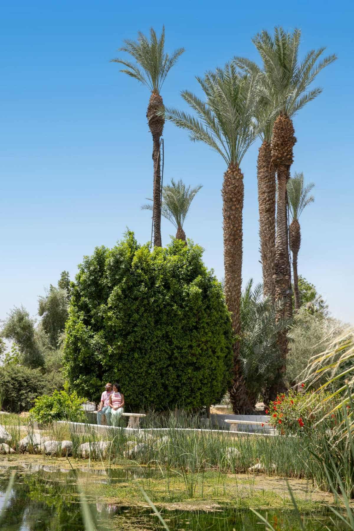 Cover Option Indio Shields Date Garden_Credit visitgreaterps-min