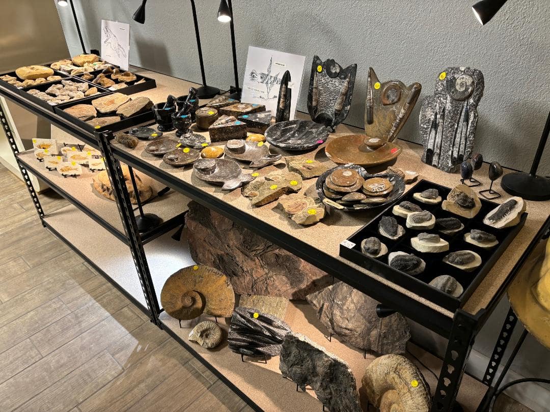 Rocks & Records14-min