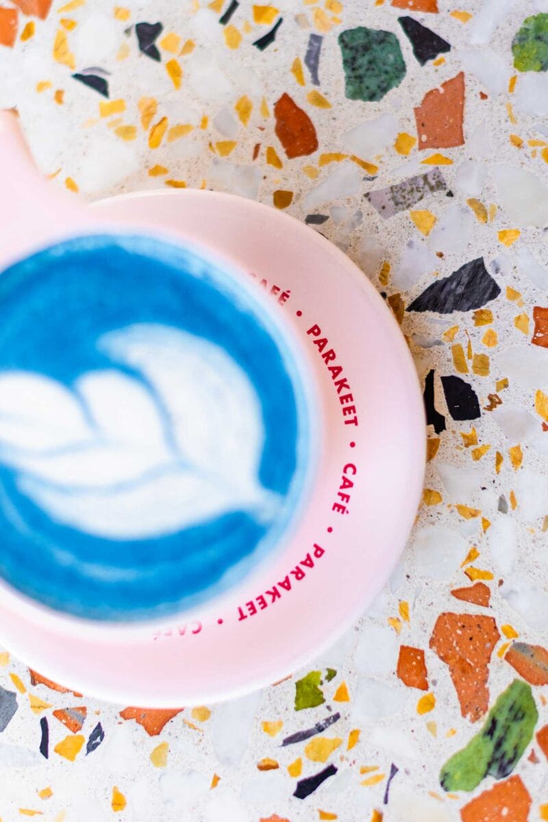 thenixcompany-theforumcarlsbad-parakeetcafe