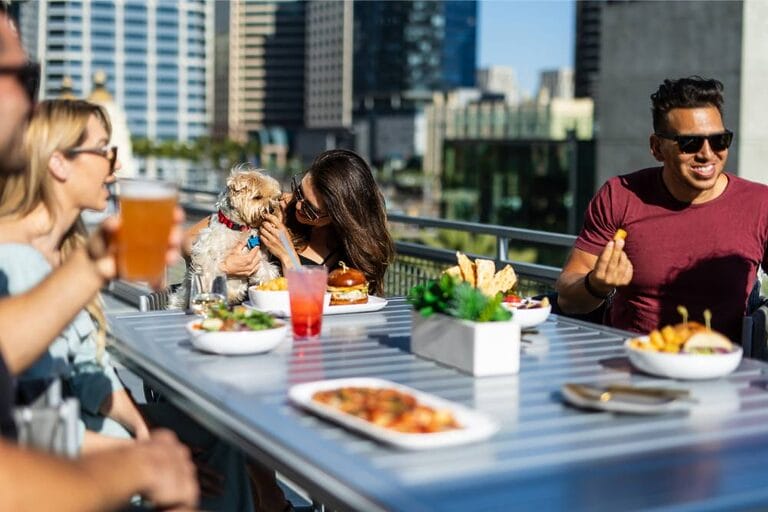 Harbor & Sky City View Furry Friend