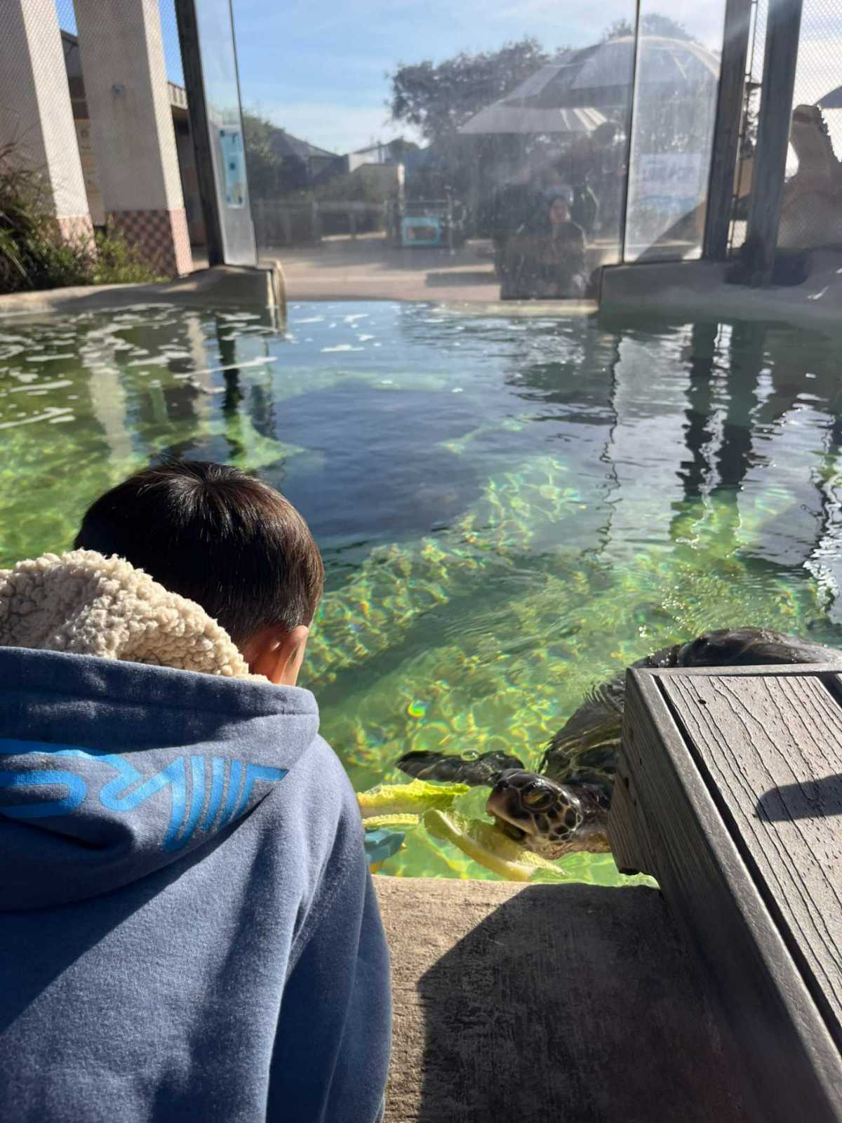 Living Coast Discovery Center IMG_9589