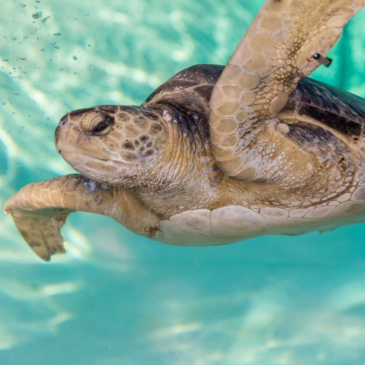 Living Coast Discovery Center-wonderfront1x1-1-2-living-coast