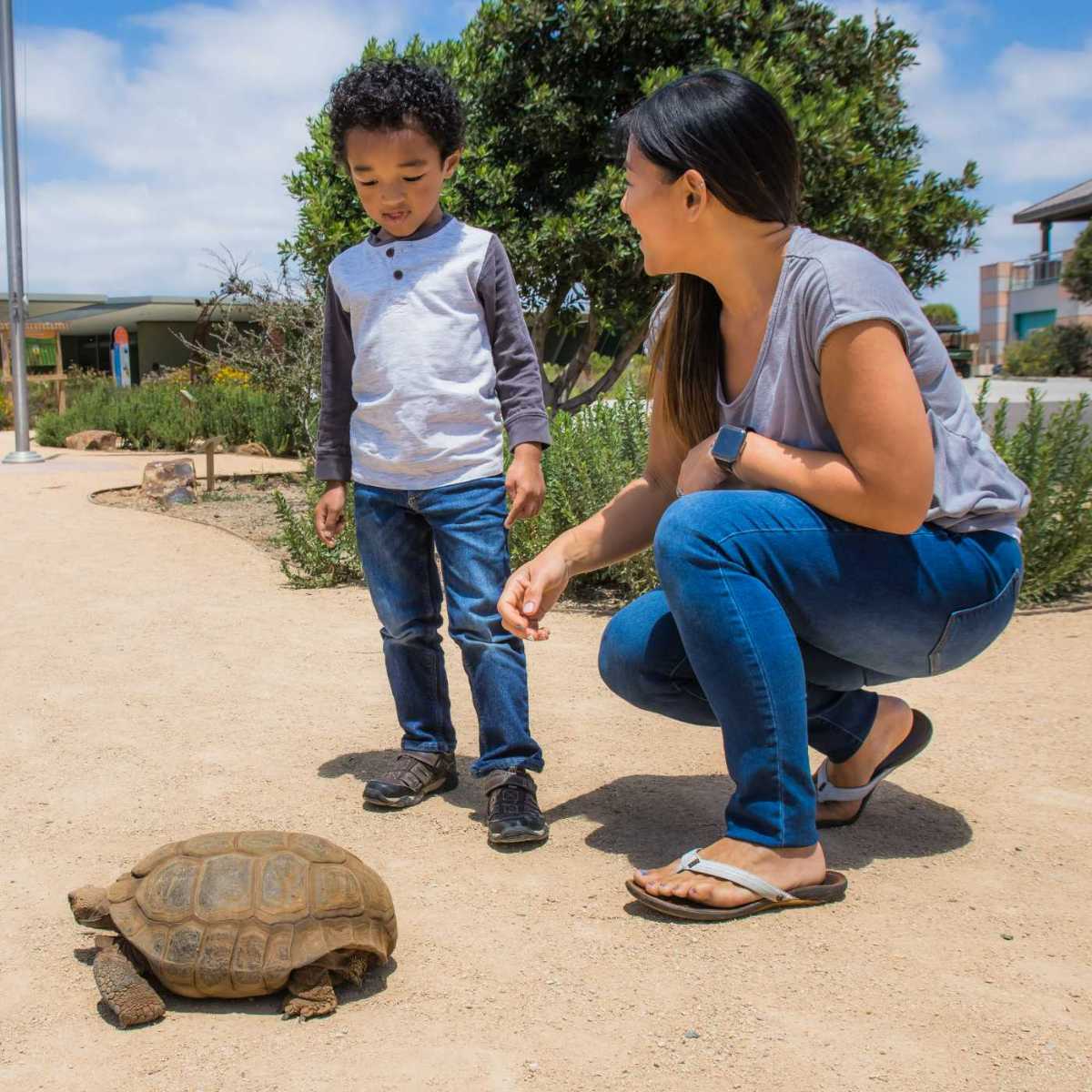 Living Coast Discovery Center-wonderfront1x1-3-2-living-coast
