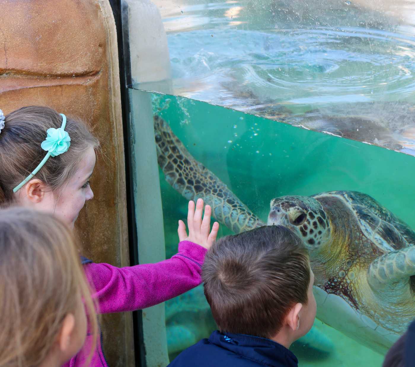 Living Coast Discovery Center-wonderfront1x1-5-2-living-coast