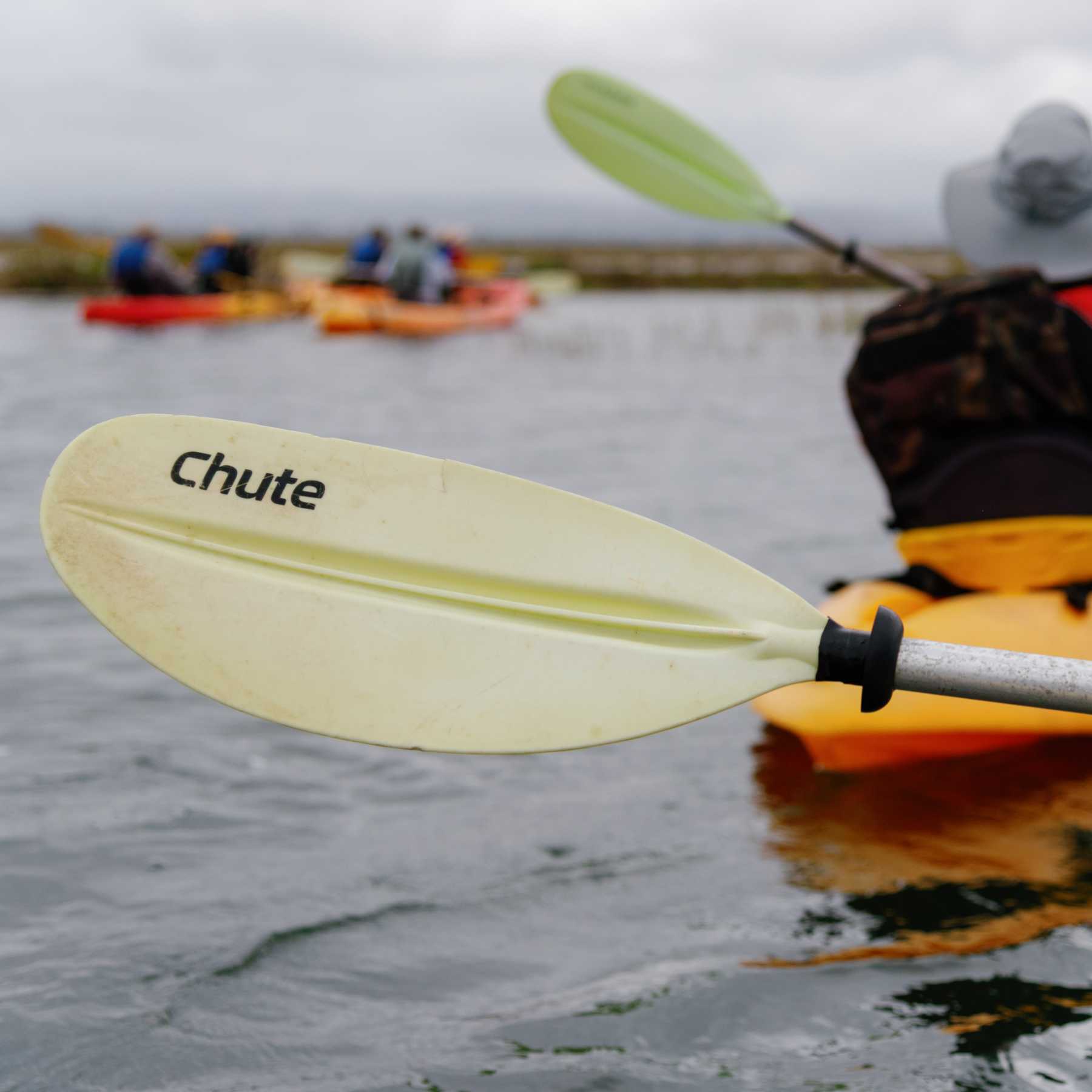 Paddle Birding Eco Tour-wonderfront1x1-2