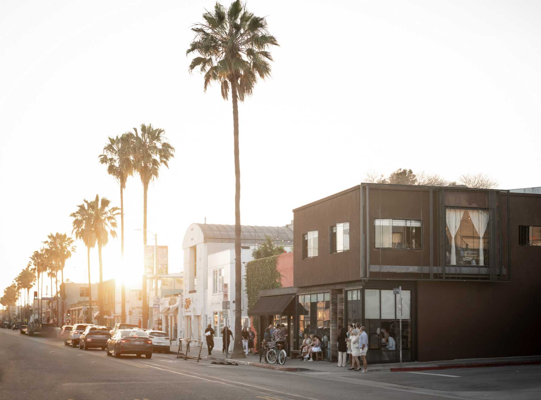 Things to Do in Venice Beach