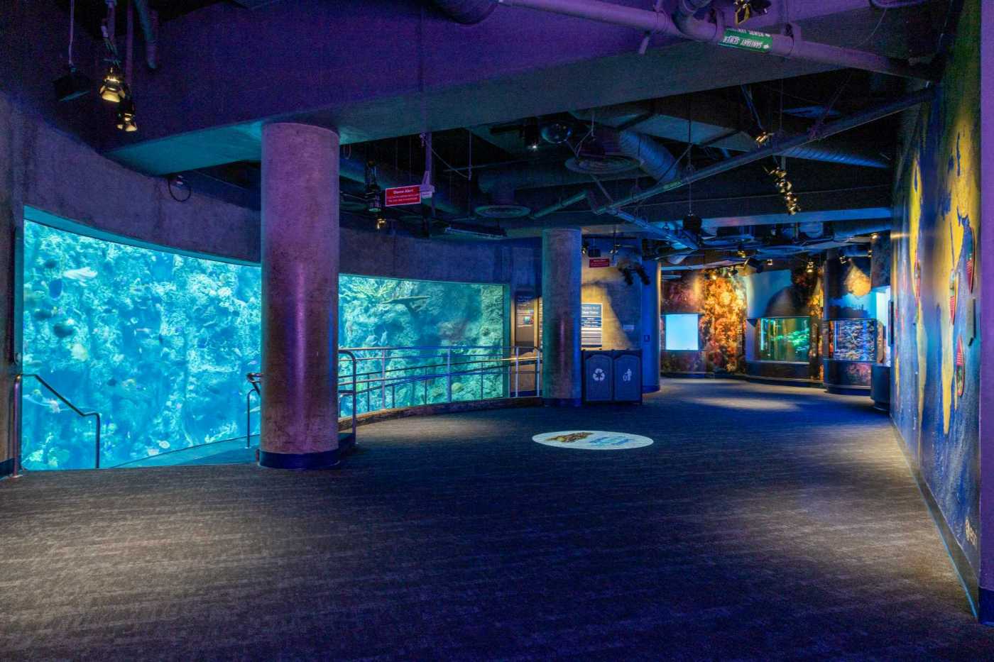 Aquarium of the Pacific 4