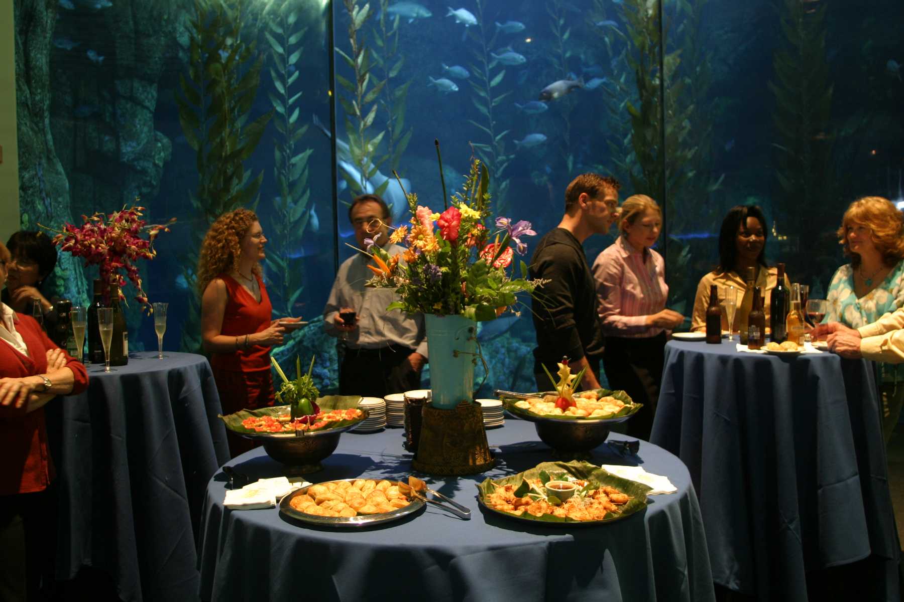 Credit Long Beach Convention & Visitors Bureau-AquariumofthePacificEvent (3)