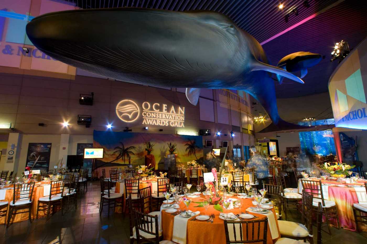 Credit Long Beach Convention & Visitors Bureau-AquariumofthePacificEvent (8)