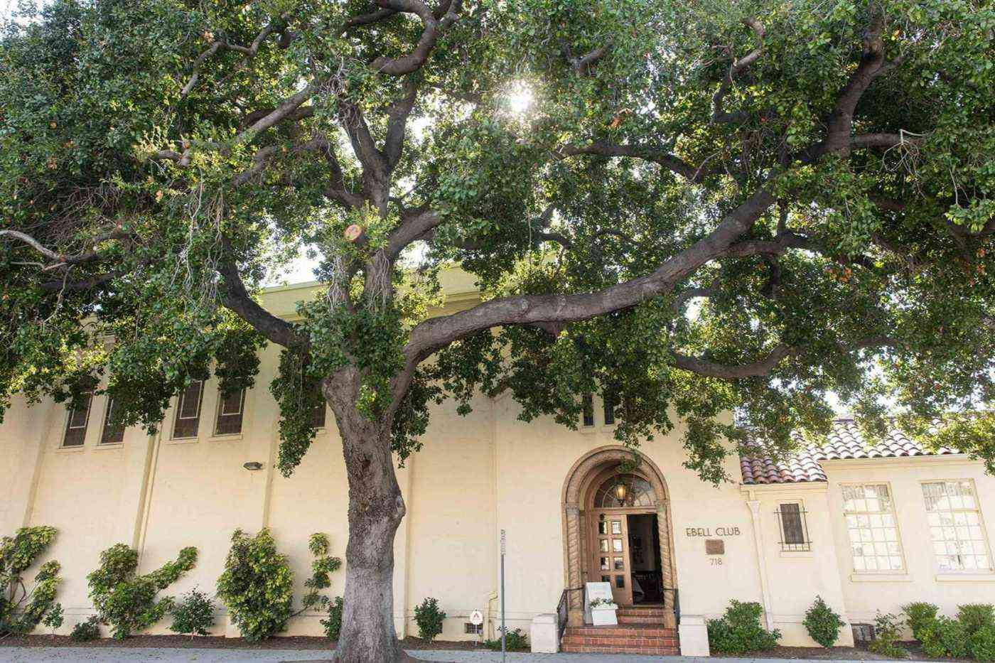 The Ebell Club DavisGroupPhoto_2023_1006_EbellClub_SantaAna_wedding-31