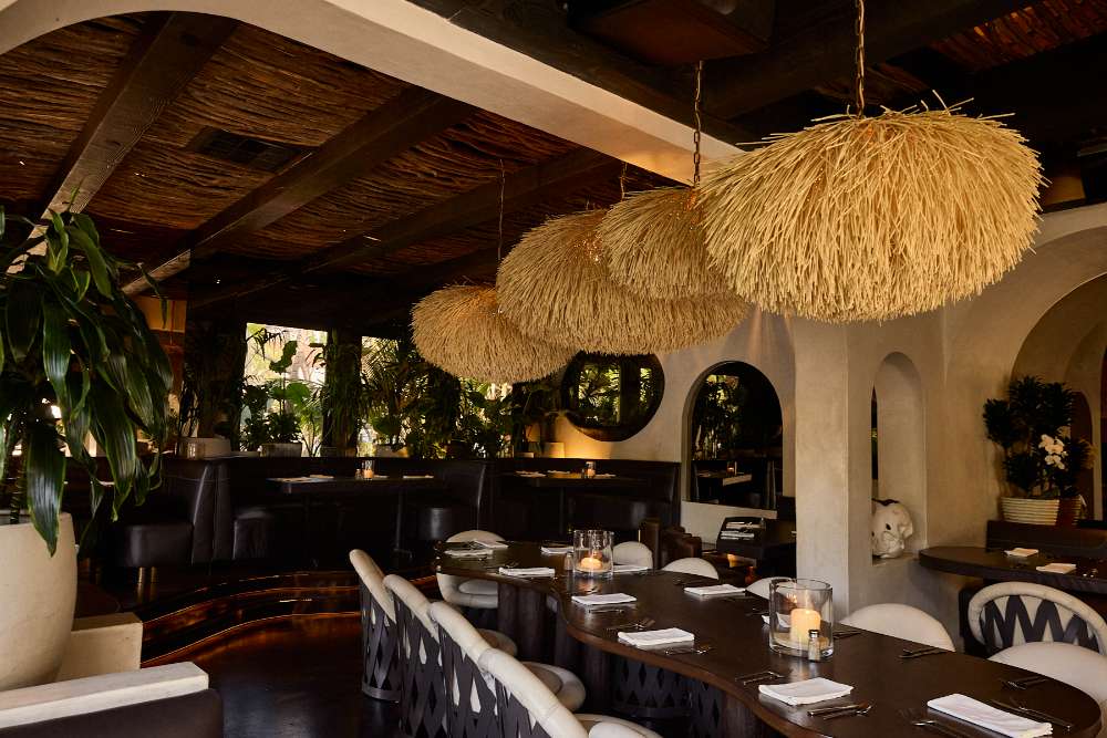 20250812-Javiers-Newport-Timothy-Kwon- 12