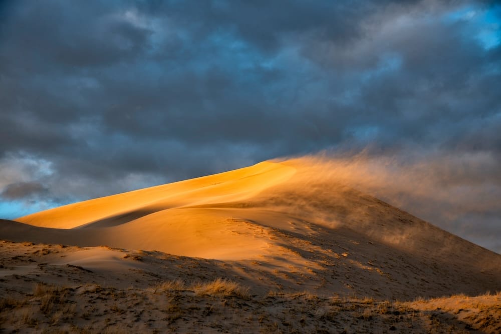 Mojave