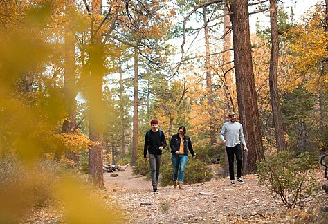 Big Bear Fall Foliage