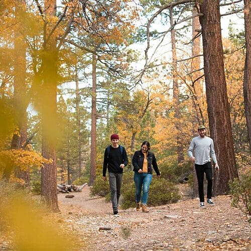 Big Bear Fall Foliage