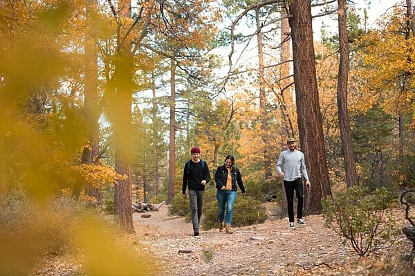 Big Bear Fall Foliage