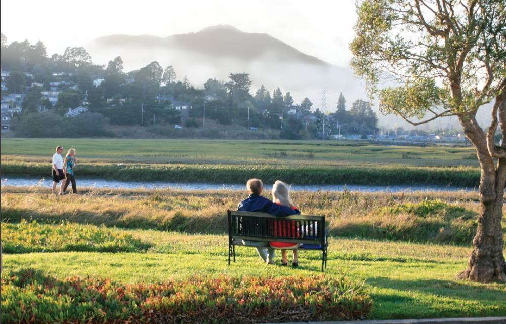 Marin fall escape