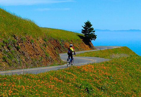 Marin fall escape
