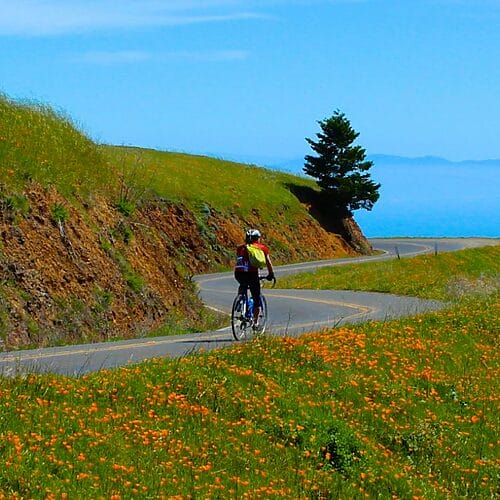Marin fall escape