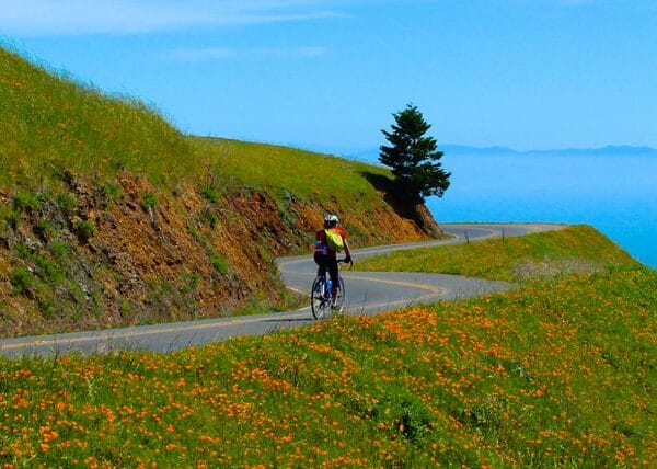 Marin fall escape