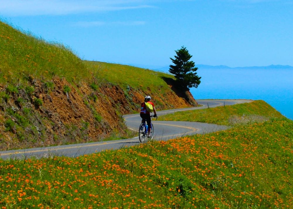 Marin fall escape