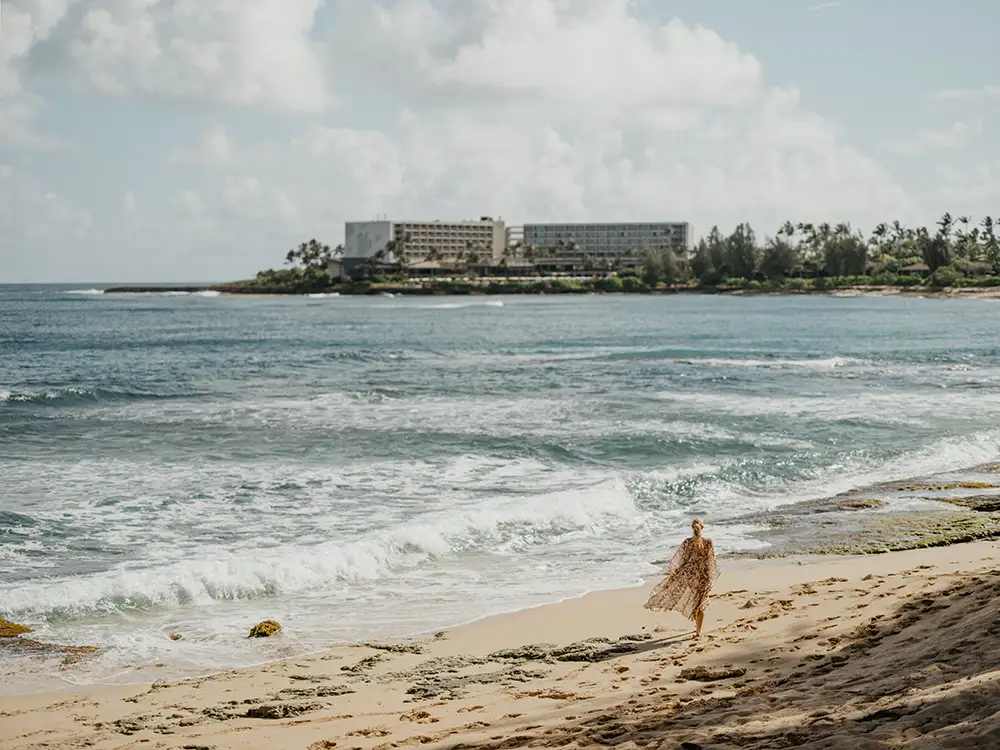 Best Turtle Bay Resorts