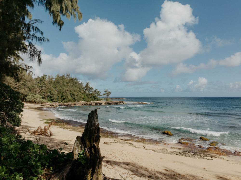 The Ritz-Carlton O‘ahu, Turtle Bay rc_oahu_turtle_bay_irisandlight-27