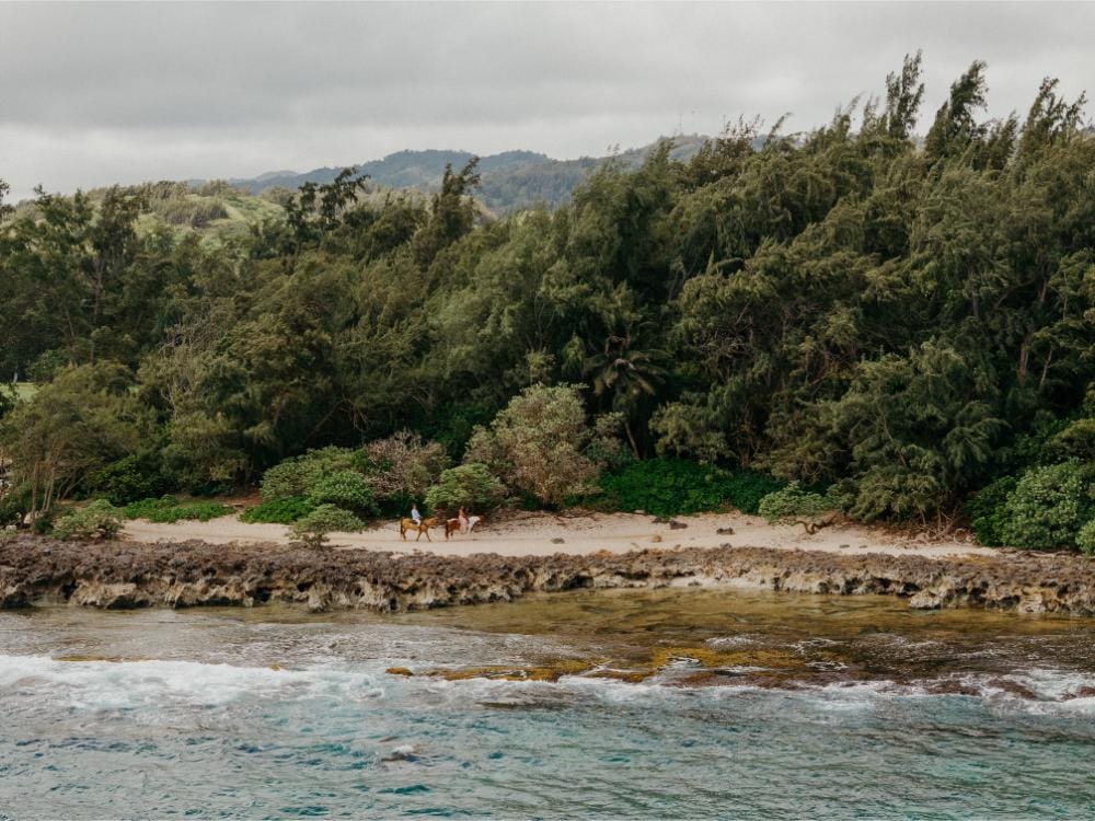 The Ritz-Carlton O‘ahu, Turtle Bay rc_oahu_turtle_bay_irisandlight-59
