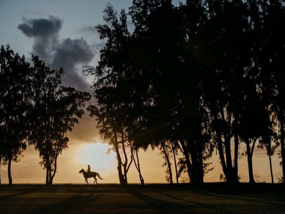 The Ritz-Carlton O‘ahu, Turtle Bay rc_oahu_turtle_bay_irisandlight-60