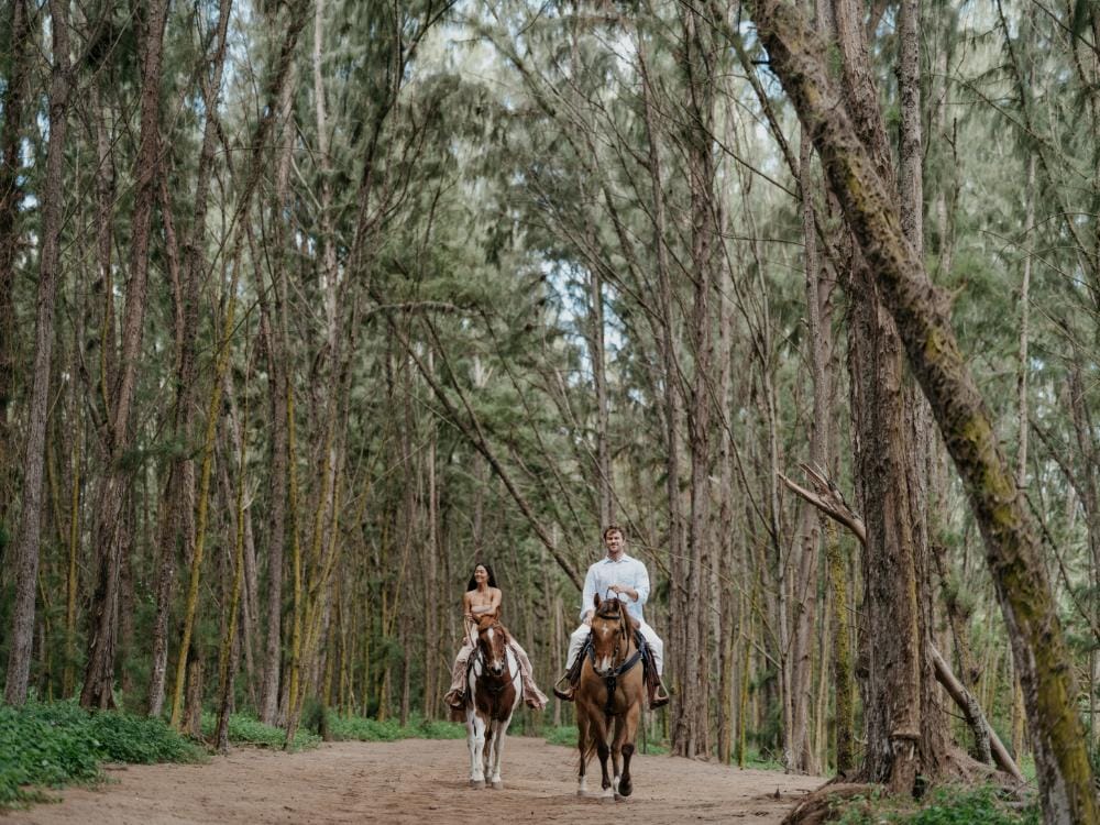 The Ritz-Carlton O‘ahu, Turtle Bay rc_oahu_turtle_bay_irisandlight-72