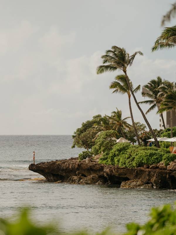 The Ritz-Carlton O‘ahu, Turtle Bay rc_oahu_turtle_bay_irisandlight-73