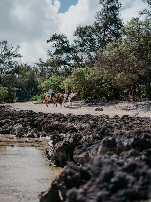 The Ritz-Carlton O‘ahu, Turtle Bay rc_oahu_turtle_bay_irisandlight-81