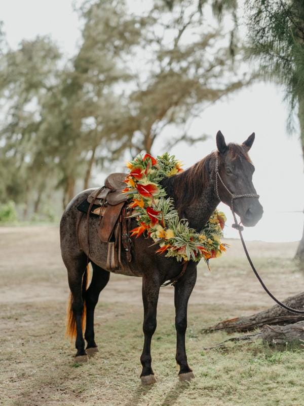 The Ritz-Carlton O‘ahu, Turtle Bay rc_oahu_turtle_bay_irisandlight-91