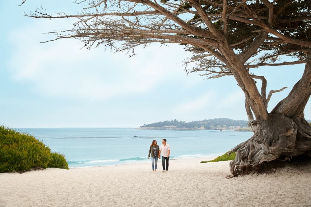 Storybook Escape Carmel-by-the-Sea