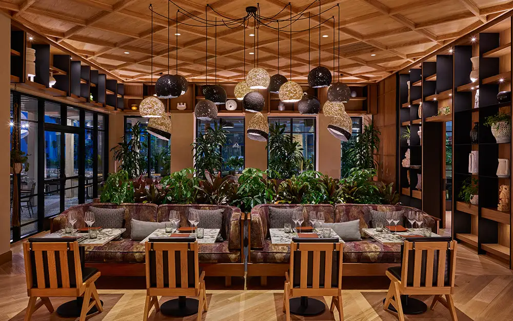 Best North County Restaurants SD