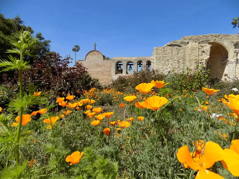 Mission San Juan Capistrano-California-Poppies
