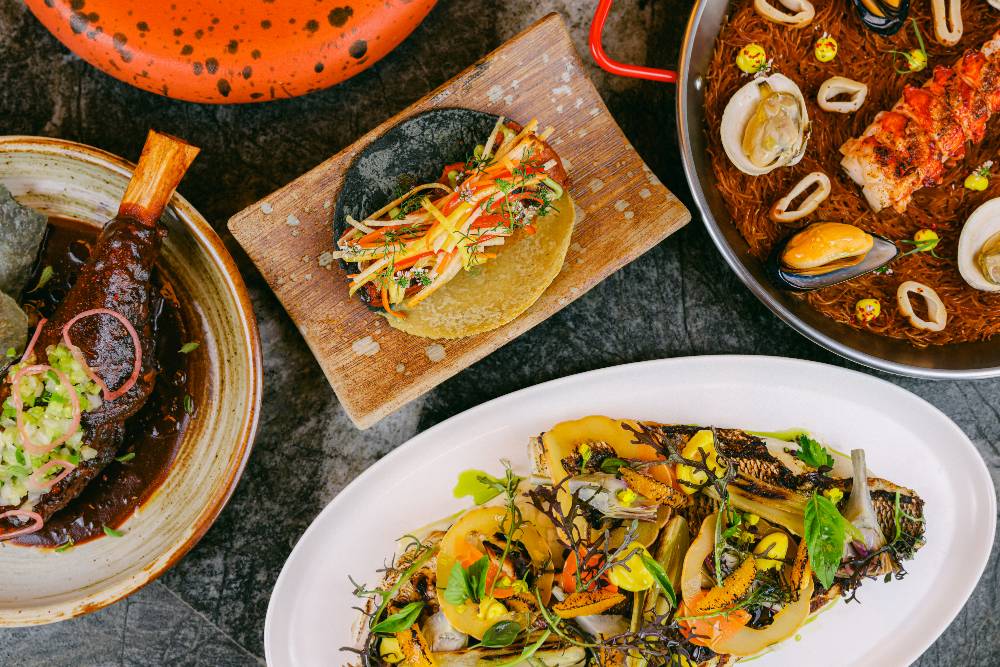 SANGE_Marzul_CompilationShot_1_UR13 2025-11-04 18.13.34