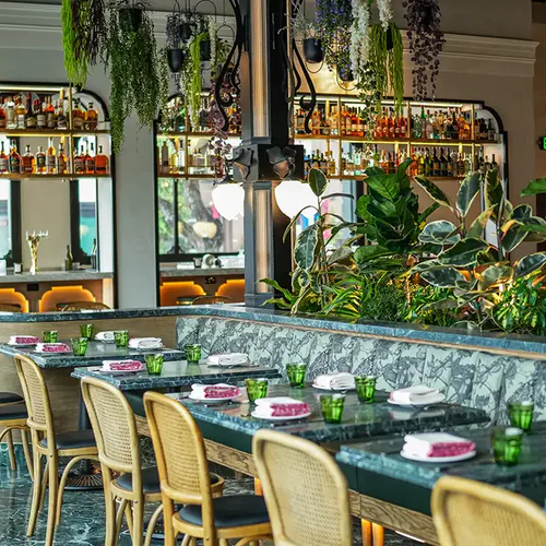 Best New Restaurants San Diego