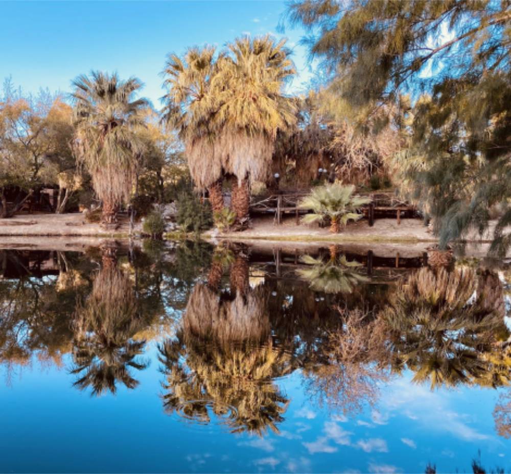 Bubbling Wells Ranch Oasis Lake