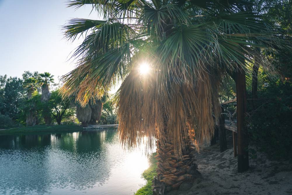 Bubbling Wells Ranch TheLory (343 of 609)