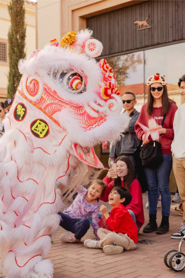 Fashion Island LNY-MOP FI-208