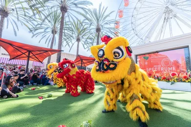 Lunar New Year Orange County