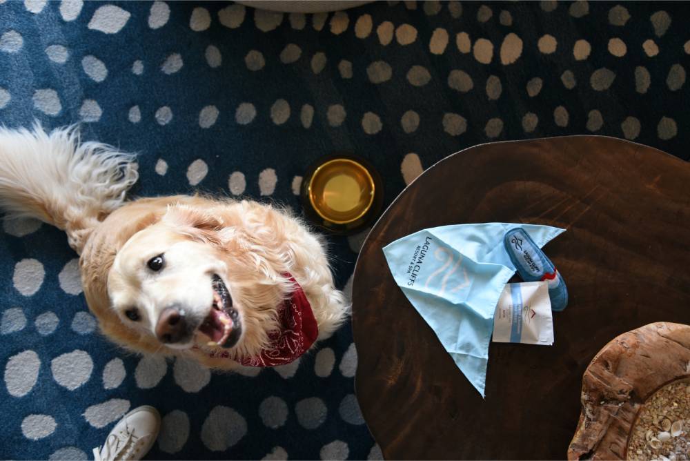 Dog‑friendly Getaway Dana Point