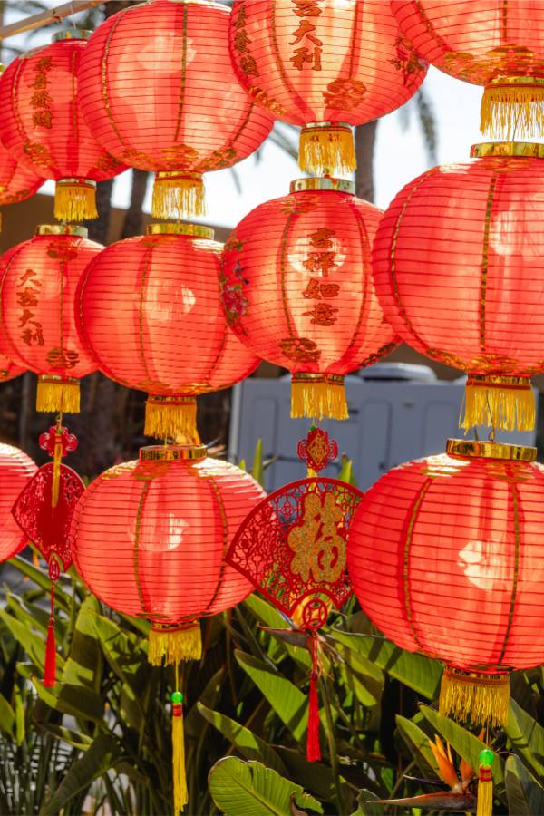 The Market Place TMP-MOP-48_1