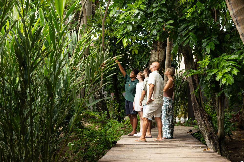 Tourism Fiji Credit Creative7 Six Senses 104609-56