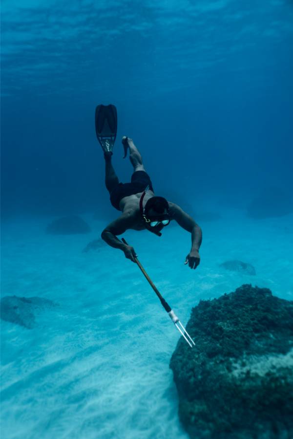 Tourism Fiji Taveuni 103368-56