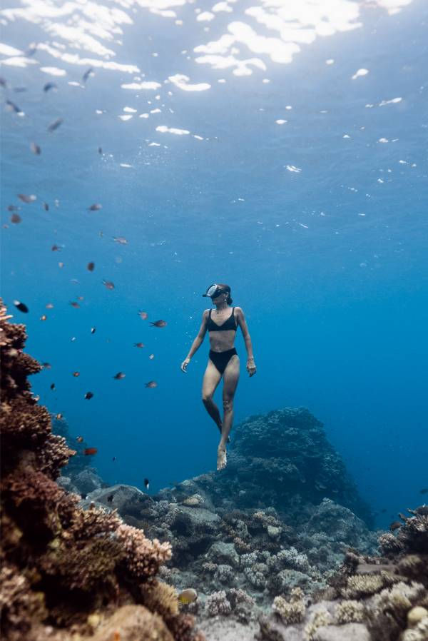 Tourism Fiji Taveuni 103379-56