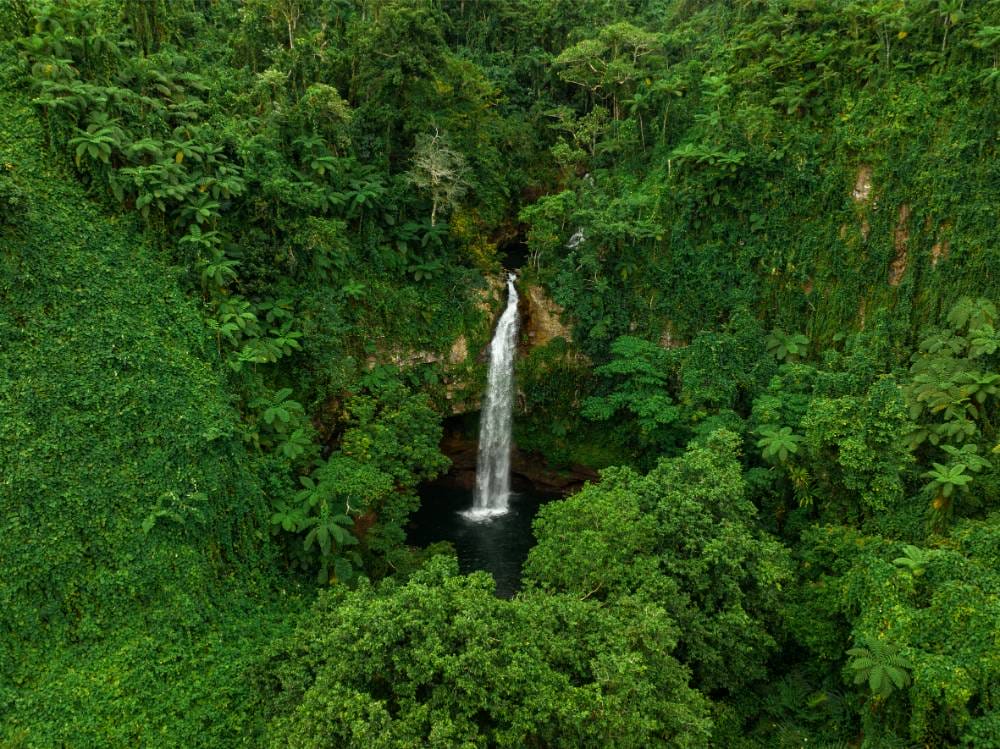 Tourism Fiji Tavoro Waterfalls 103362-56